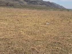 岷县岷州文旅发展(集团)有限公司 岷山种畜场土地租赁（2026年第一批）公告（第三次）