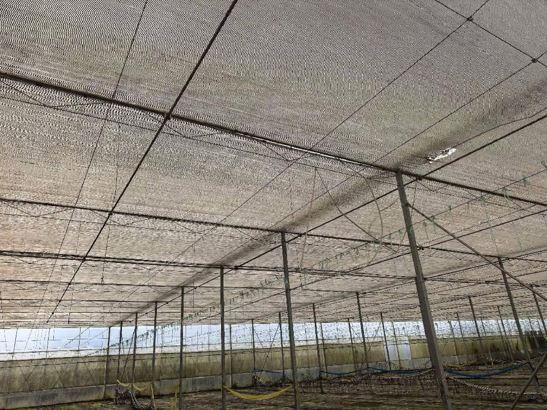 云南云天化现代农业发展有限公司澜沧、文山基地资产转让(国资监测编号GR2026YN1000095)
