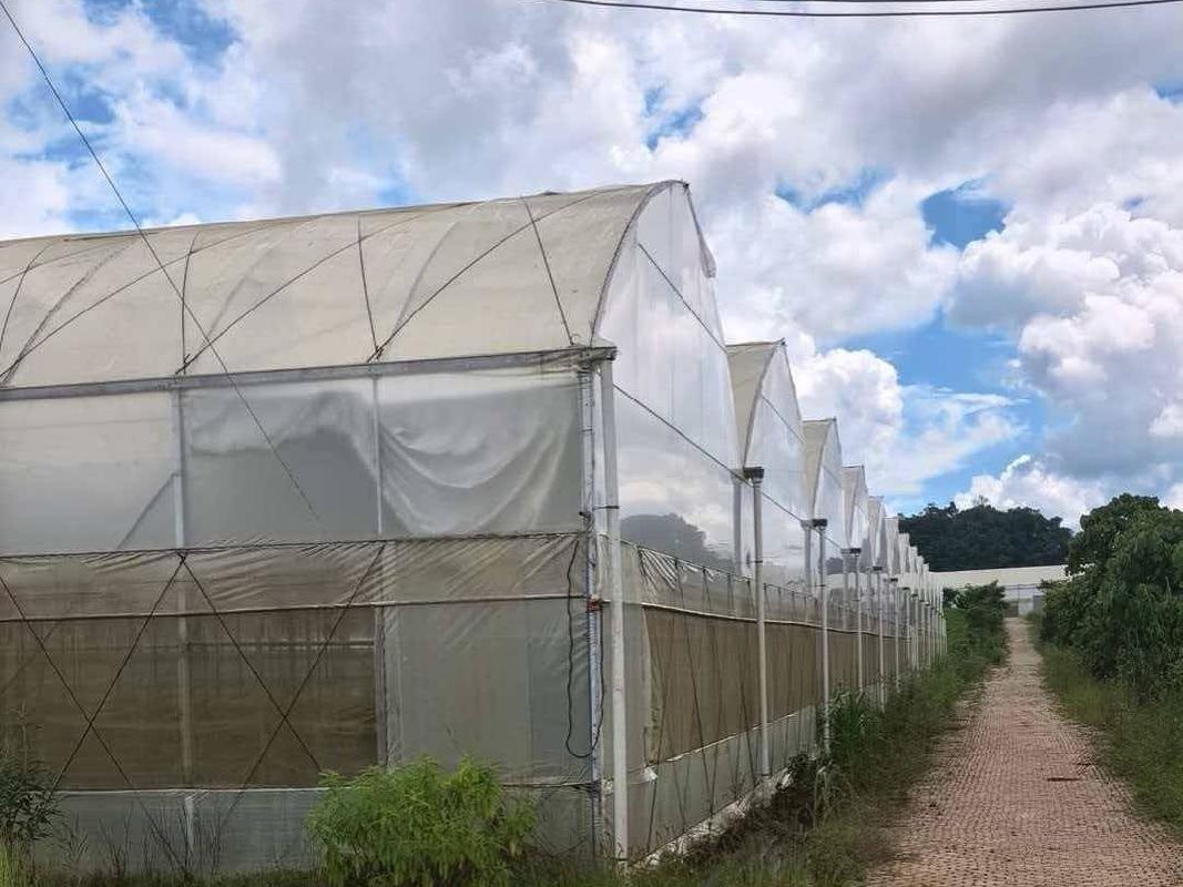 云南云天化现代农业发展有限公司澜沧、文山基地资产转让(国资监测编号GR2026YN1000095)