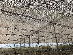 云南云天化现代农业发展有限公司澜沧、文山基地资产转让(国资监测编号GR2026YN1000095)