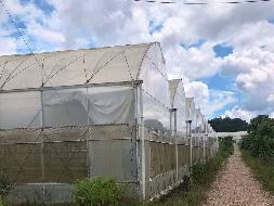 云南云天化现代农业发展有限公司澜沧、文山基地资产转让(国资监测编号GR2026YN1000095)
