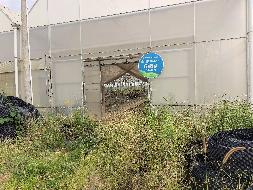 云南云天化现代农业发展有限公司澜沧、文山基地资产转让(国资监测编号GR2026YN1000095)