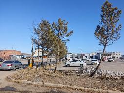内蒙古自治区通辽市霍林郭勒市珠区宝街滨河路西北段1号3处地坪使用权、3处房屋建筑物独立出租（年租金详见清单，租期均为1年）