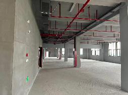 南陵县许镇镇蒲园二期S1#商业用房一至三层出租公告(国资监测编号GR2026AH2000580)
