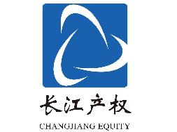 枞阳县玉龙石料有限公司51%国有股权转让公告(国资监测编号G32026AH2000013)