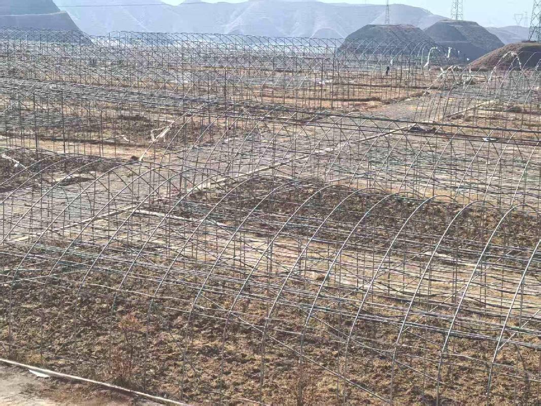 永靖县刘家峡镇城北新村集体经济合作社一批资产转让公告