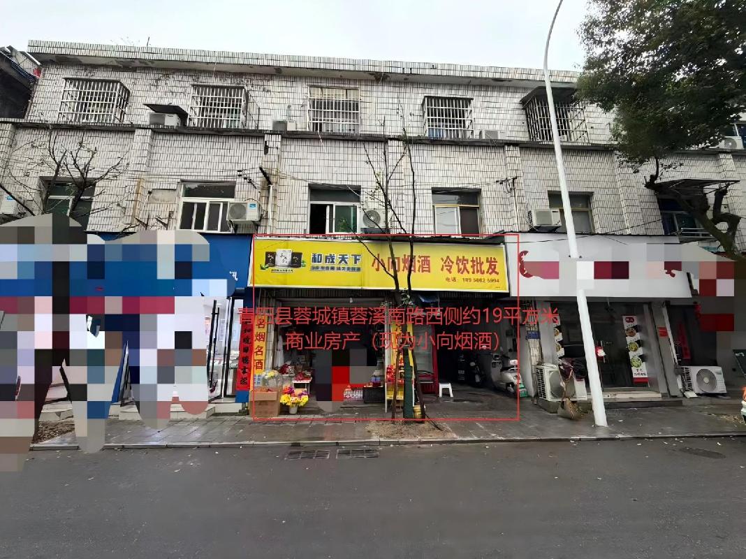 青阳县蓉城镇蓉溪南路西侧约19平方米商业房产（现为小向烟酒）出租公告(国资监测编号GR2026AH2000606)