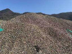 石台县三合水库工程项目节余石料转让（一次降价）公告(国资监测编号GR2026AH2001012)