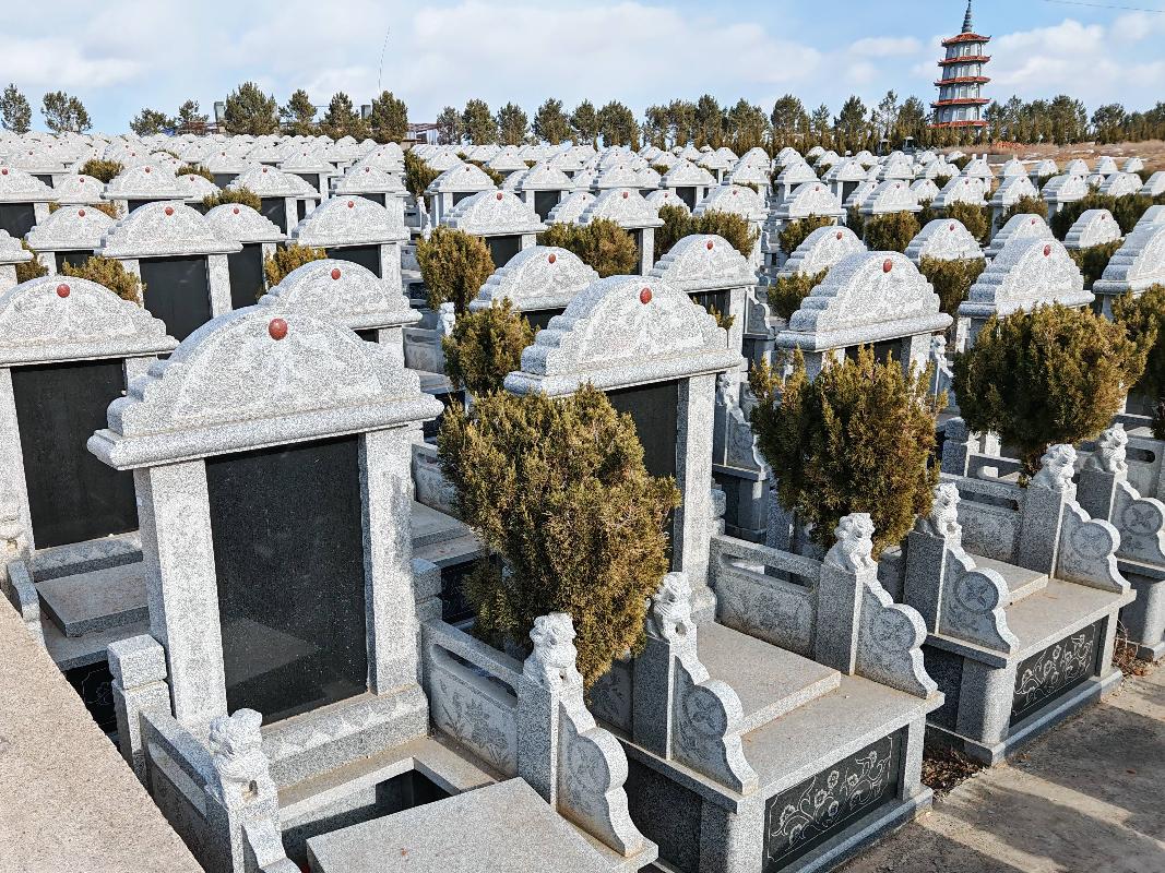阿荣旗龙安祥墓园罚没资产（地上建筑及构筑物）转让（第二批）(国资监测编号GR2026NM1001243)