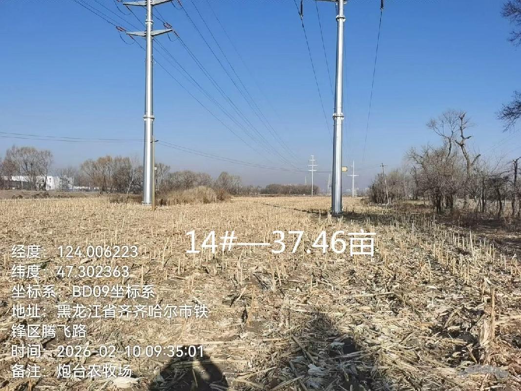 齐齐哈尔市铁锋区向阳村炮台屯4处土地分别出租项目交易公告