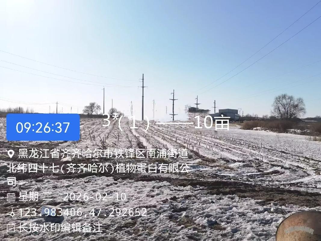 齐齐哈尔市铁锋区向阳村炮台屯4处土地分别出租项目交易公告