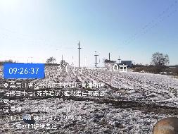 齐齐哈尔市铁锋区向阳村炮台屯4处土地分别出租项目交易公告