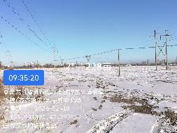 齐齐哈尔市铁锋区向阳村炮台屯4处土地分别出租项目交易公告