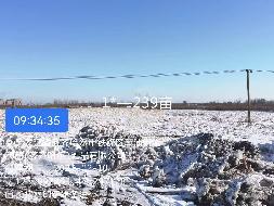 齐齐哈尔市铁锋区向阳村炮台屯4处土地分别出租项目交易公告