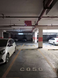 湖南轻盐新阳光产业发展投资有限公司一批招商资产