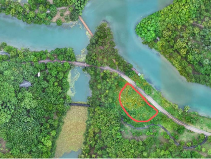 江苏省常州市新北区春江街道北海中路188号新龙生态林西区草坪场地1招租公告
