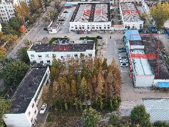 福州路16号招租公告