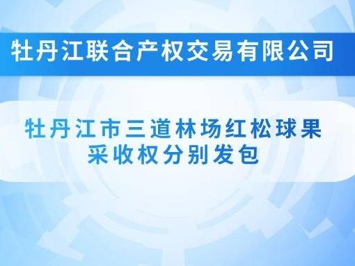牡丹江市三道林场红松球果采收权发包交易公告