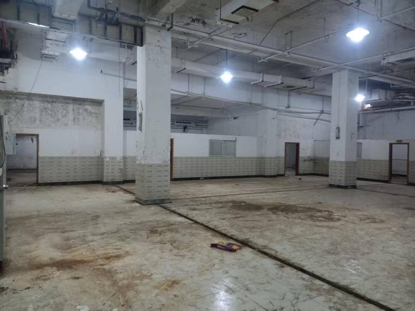 大庙弄4号新闻大厦辅楼一楼西南部分、一楼西北部分、南地下室招租公告