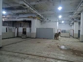 大庙弄4号新闻大厦辅楼一楼西南部分、一楼西北部分、南地下室招租公告