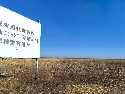内蒙古正益鼎丰农工贸有限责任公司约1046亩苜蓿草地经营权出租（租金底价56.00元/亩，租期自合同签订之日起至2028年12月31日）