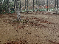 江苏省常州市新北区春江街道北海中路188号新龙生态林西区林下场地1招租公告