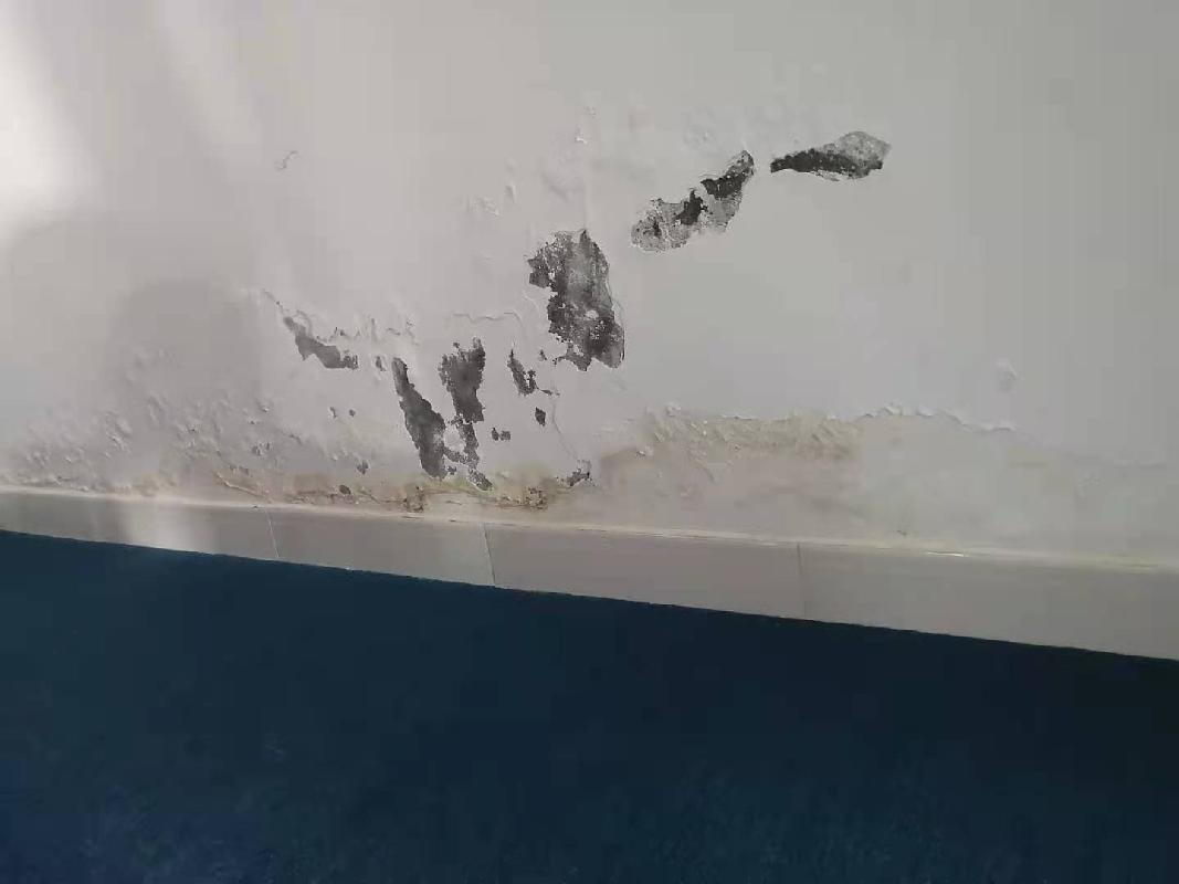 海口市世贸东路2号D栋1904房产转让公告(国资监测编号GR2026JS4001343-3)