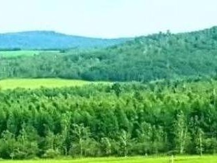 1标包，约52.4亩，位于甘河农牧场十七队，2026年土地经营权出租