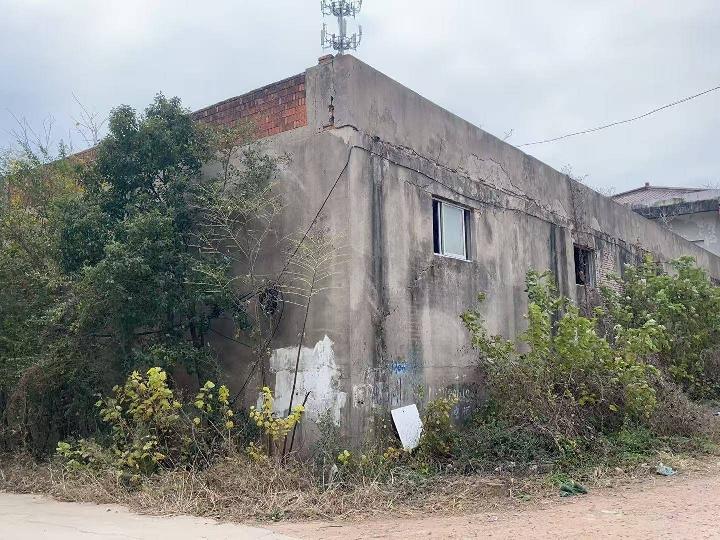 原常州市五兔王胶水厂厂房承租意向人征集公告