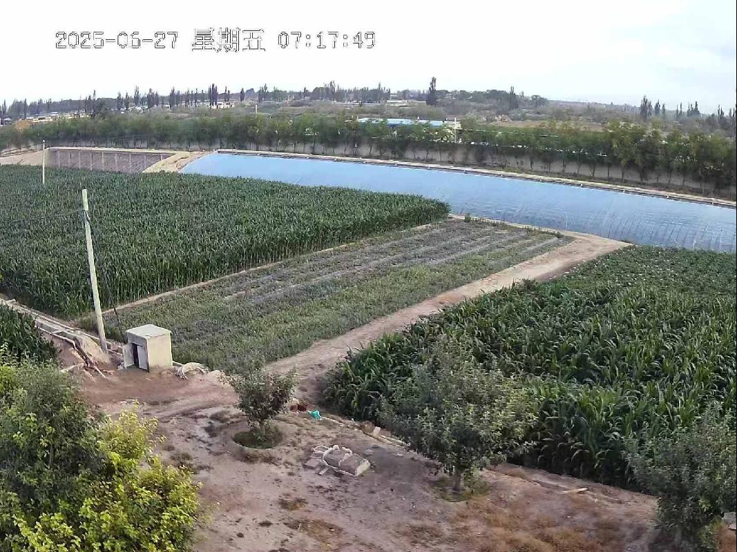 武威市凉州区长城乡十二墩村1宗农用地土地使用权、办公用房及地上建筑物整体转让公告（第二次）