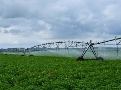 第十三生产队30标,约230.90亩,哈达图农场2026年土地经营权出租项目