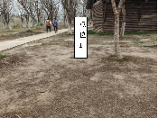 江苏省常州市新北区春江街道北海中路188号新龙生态林共享设备场地3招租公告