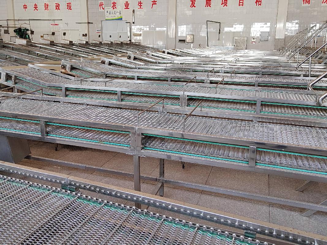 湖南盛节节高食品股份有限公司一批闲置机器设备(国资监测编号GR2026HN1000674)