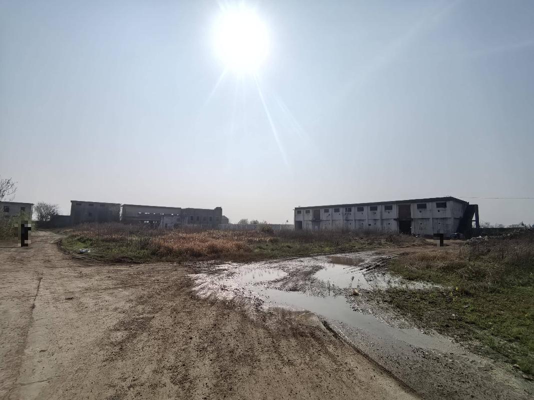 无为市严桥镇严桥社区S220东侧原无为县银海棉业有限责任公司部分房屋及土地使用权出租公告(国资监测编号GR2026AH2000665)
