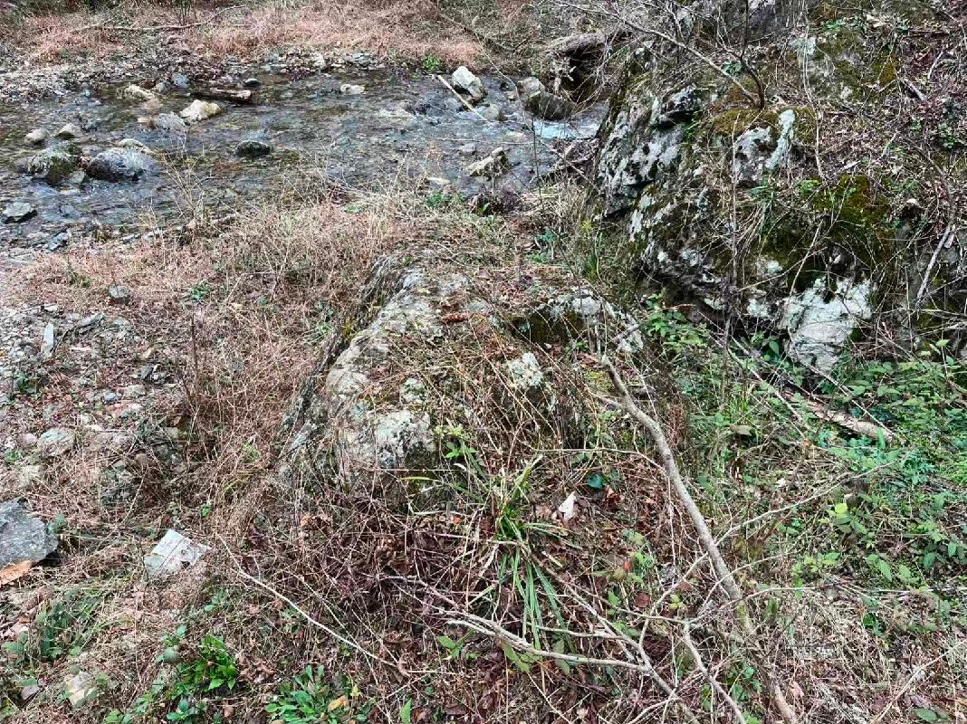 池州市森林防火应急道路石台县建设项目（土塘至杉山项目段）产生的剩余石料资源转让（一次降价）公告(国资监测编号GR2026AH2001338)