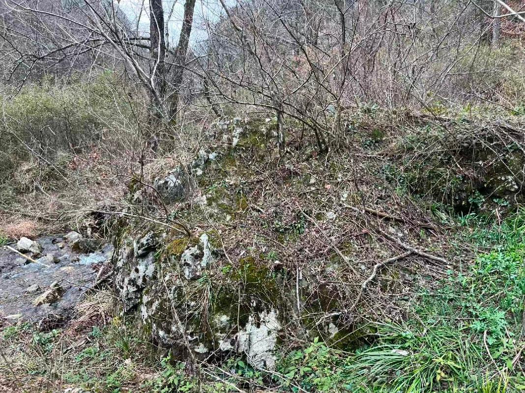 池州市森林防火应急道路石台县建设项目（土塘至杉山项目段）产生的剩余石料资源转让（一次降价）公告(国资监测编号GR2026AH2001338)