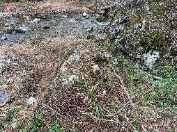 池州市森林防火应急道路石台县建设项目（土塘至杉山项目段）产生的剩余石料资源转让（一次降价）公告(国资监测编号GR2026AH2001338)