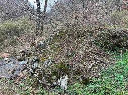池州市森林防火应急道路石台县建设项目（土塘至杉山项目段）产生的剩余石料资源转让（一次降价）公告(国资监测编号GR2026AH2001338)