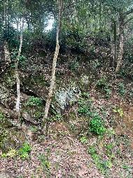 池州市森林防火应急道路石台县建设项目（黄沙坑至工区项目段）产生的剩余石料资源转让（一次降价）公告(国资监测编号GR2026AH2001339)