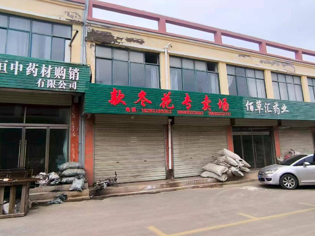 甘肃省陇西县首阳镇南门村中药材交易市场18号楼部分房产转让公告（第二次）