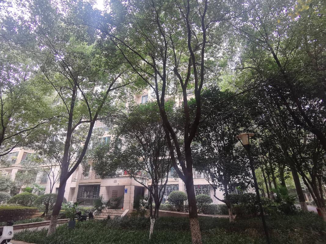 标的4-长沙市芙蓉区人民东路398号星城世家G1栋903号房产