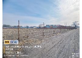 内蒙古自治区通辽市科尔沁左翼中旗保康镇王家窝堡村南229.38亩土地及地上建筑物经营权整体出租（年租金136416元，租期自合同签订之日起至2026年12月30日止）