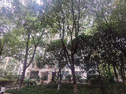 标的4-长沙市芙蓉区人民东路398号星城世家G1栋903号房产(国资监测编号GR2026HN1000700)