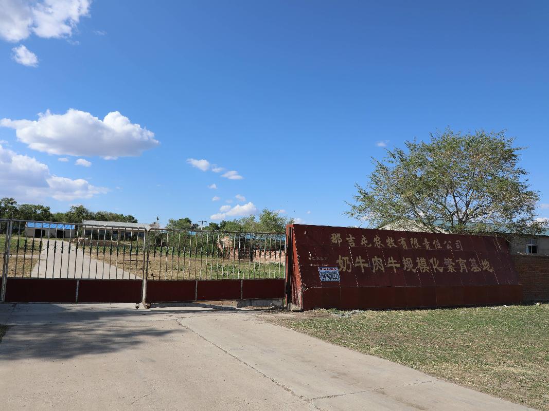 呼伦贝尔农垦那吉屯农牧场有限公司奶牛小区整体出租（租金底价140040.00元/年，租期3年）