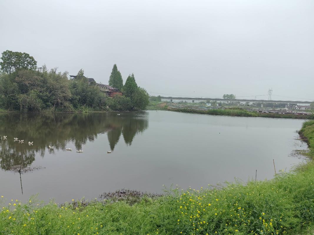 无为市姚沟镇南都村杨家小滩段老河约30亩水面10年期经营权出租（一次降价）公告
