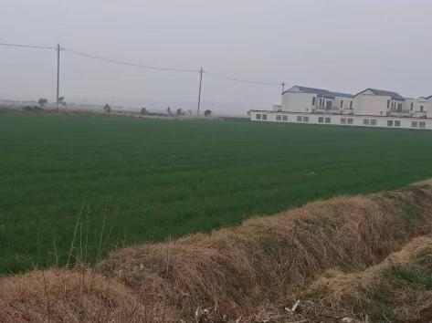 滨湖新村G08地块招租公告
