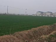 滨湖新村G08地块招租公告