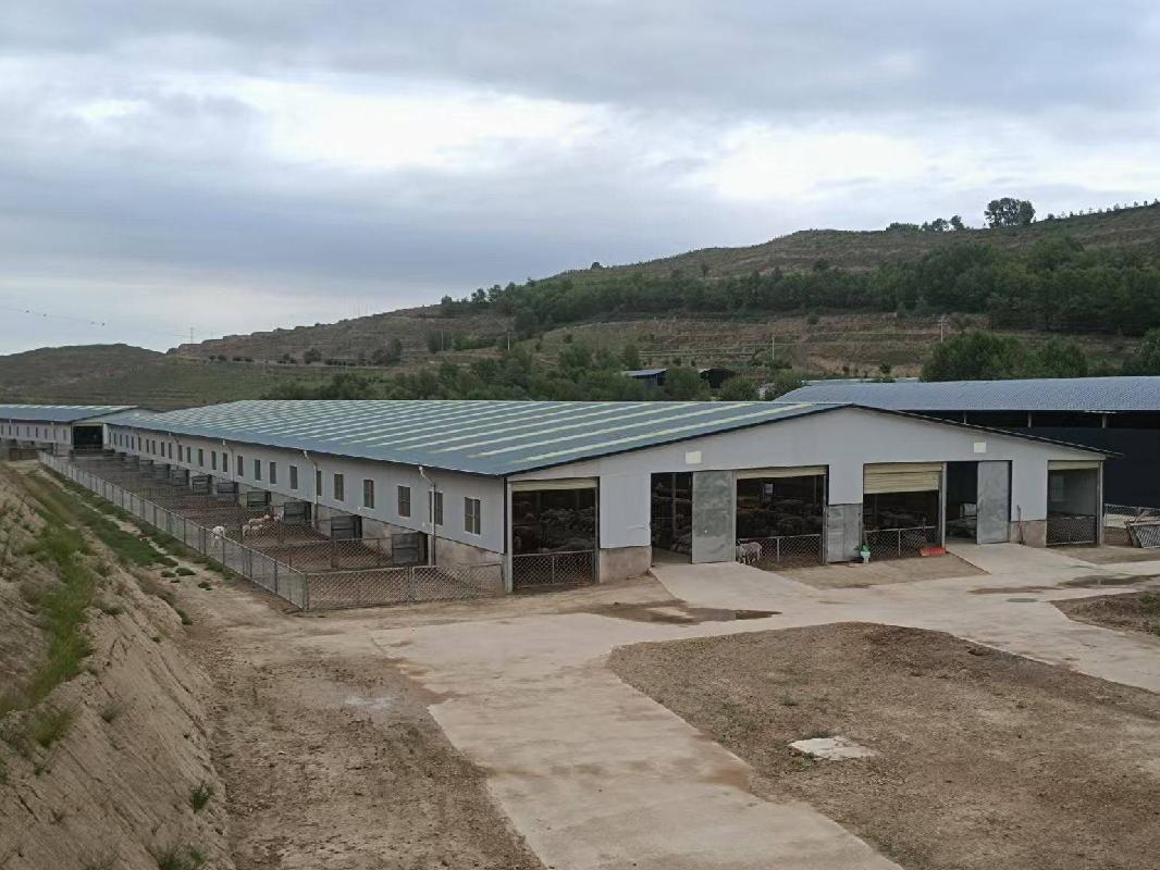甘肃陇玥农牧有限公司一批房屋建筑物、设备等 实物资产转让公告（第二次）