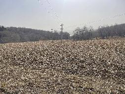 七台河晟兴服装有限责任公司4处土地分别出租交易公告