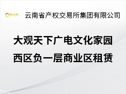 大观天下广电文化家园西区负一层商业区租赁(二次挂牌)